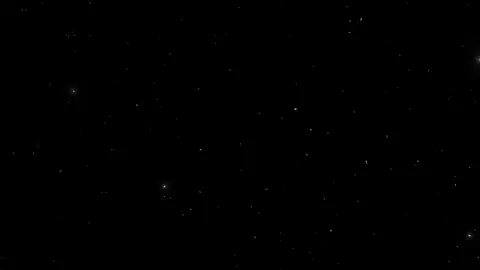 قـــاعــديــن ومــتـربـصــيــن✨🖤....                                                                                                                                                                                                                            #رضاالبحراوي #elkiady_official #viral #fyp #اكسبلور 