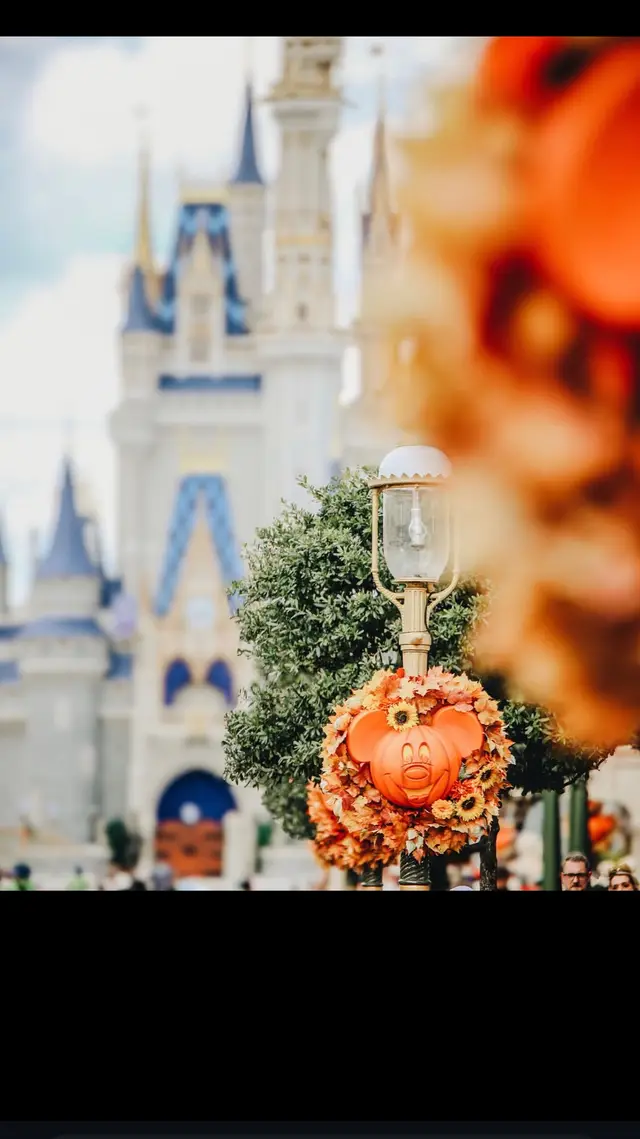 #Leaves are falling, and Disney is calling!”#disneyland#disneyfall #hhalloween 