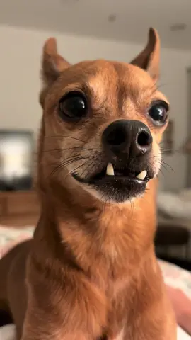 My handsome boy 🥰