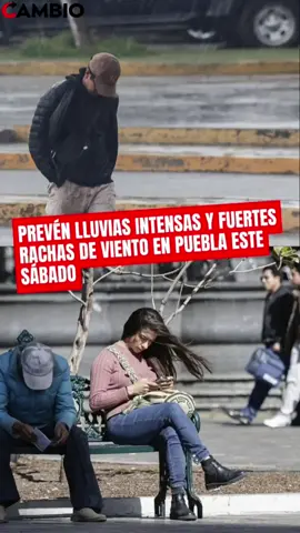 ⚠️ ¡Toma precauciones! Este sábado 17 de octubre se esperan lluvias muy fuertes en el norte y sureste del estado, mientras que en Puebla capital se espera rachas de viento de hasta 60 kilómetros por hora. El alcalde Pepe Chedraui pidió a la población asegurar objetos que puedan desplazarse, evitar acercarse a árboles y anuncios espectaculares, y mantenerse atenta a las indicaciones de Protección Civil. Ante cualquier emergencia, comunicarse al 911. ➡️Más información en: diariocambio.com.mx  #Puebla #viral #tendencia #noticias 
