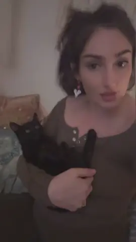 #lovecats #funnyvideos😂 