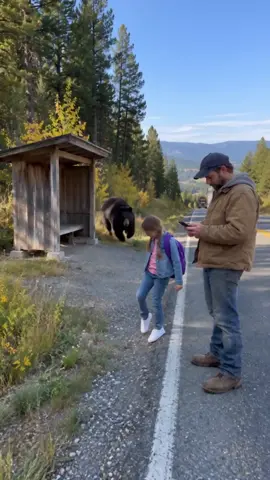 A black bear burst out of the forest at a country bus stop and dragged a little girl away from the road, seconds before a logging truck crashed into the shelter. A week later she went into the woods alone to find him, and her father searched for her all night.