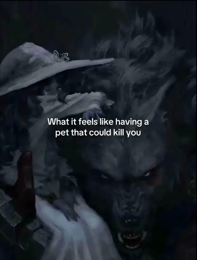 #scarydog #wowzers #tiktok #trend #viral