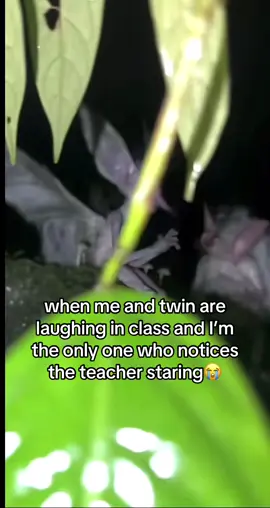 #funny #fyp #viral #fairys #bluetyfruity 