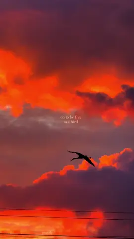 perfect landing. #fyp #hopecore #sunsets #aesthetics #viralpost 