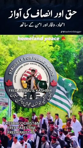 #FreeKashmir #کشمیرت🚩 #kashmirgroup #freebalochistan🇩🇯 #londonkasmir 