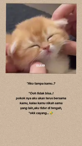#kucinglucu #fypシ゚viral 
