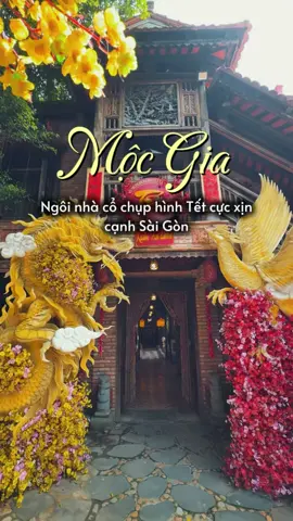 Đi chụp hình Tết 85xu chỉ cách SG 6km gần lắm nè #cafe #chuphinhtet #aodaitet #chupaodaitet #saigonloco 