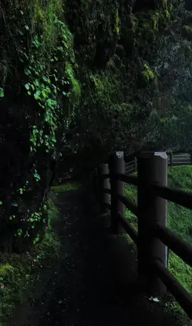 #xyzbca #naturevibes #viral 
