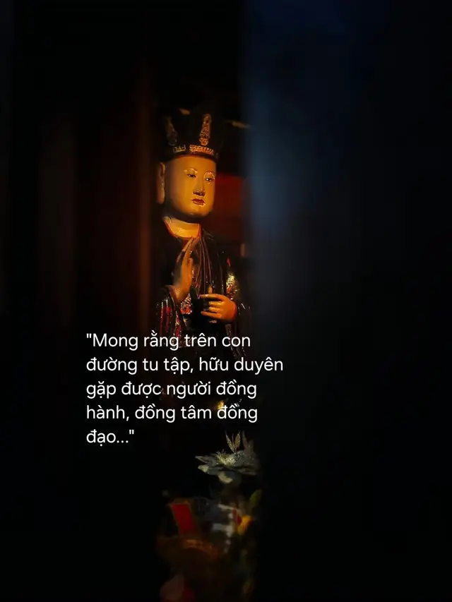 - Đồng tình: Có cùng quan điểm, cùng cách nhìn nhận và thấu hiểu suy nghĩ, cảm xúc của nhau. - Đồng chí: Có cùng chí hướng, lý tưởng và mục tiêu theo đuổi trong cuộc sống. - Đồng đức: Có sự tương đồng về phẩm hạnh, đạo đức; cùng coi trọng lòng thiện, sự chân thành và cách sống tử tế. - Đồng đạo: Có cùng con đường tu tập, cùng niềm tin và sự hướng về đạo lý, cùng mong muốn tu dưỡng tâm tính, sống thiện lành. #phatphat #tutaitam #phatphapnhiemmau #phattaitam 