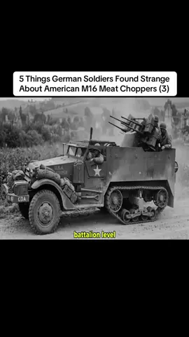5 Things German Soldiers Found Strange About American M16 Meat Choppers (3)