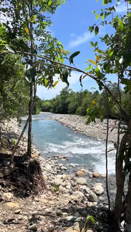 Ano na?? #river  #naturevibes  #natureview  #nature 