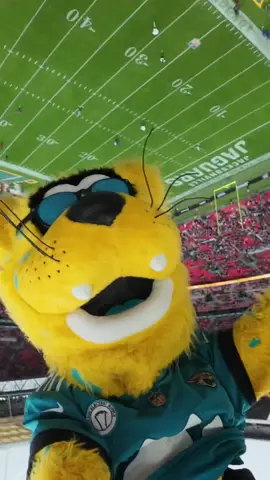 So nice had to do it twice! @NFL UK & Ireland #nfl #mascot #duuuval