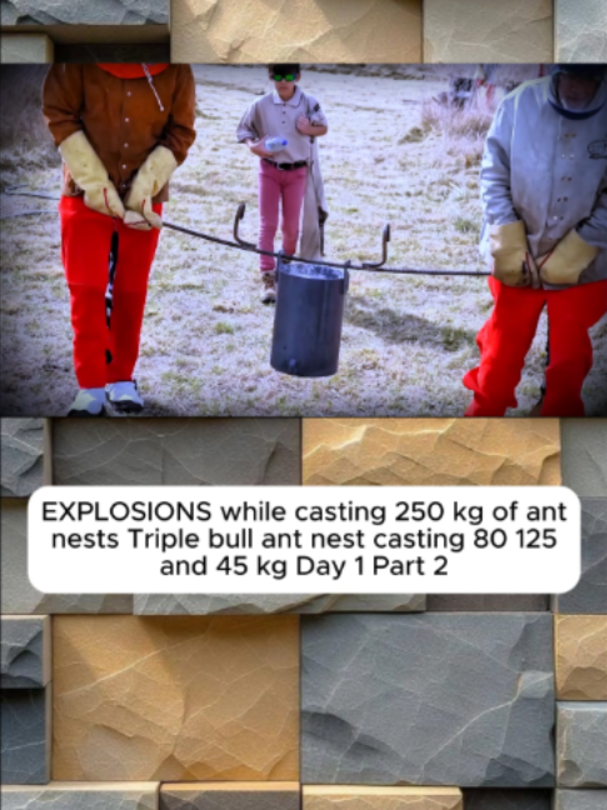 #metalcasting #aluminumcasting #antnest #experiment #Science