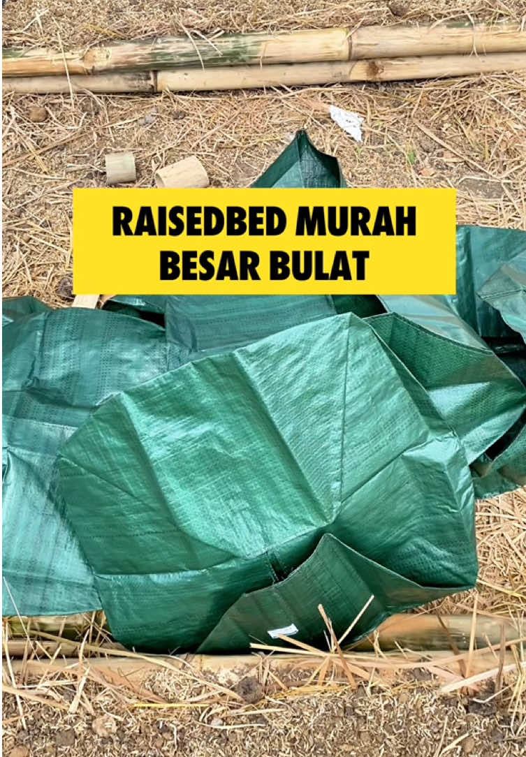 Raised bed bulat besar muat banyak dan tahan lama. #raisedbedgarden  #raisedbeds  #belilokal  #planterbag 