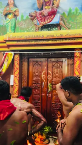 #குரூவூர்_குலநாயகியின்_திருக்கதவு_திறத்தல்_இனிதே_ஆரம்பமாகியது#மாரியம்மன்#creatorsearchinsight #trending #fyp 
