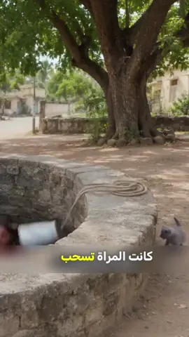 #قامشلو #قصص_واقعية #كوردستان 