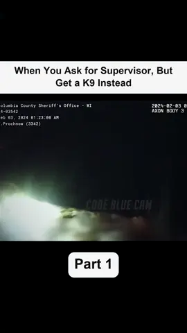 #cops #police #viral #usa #flypシ 