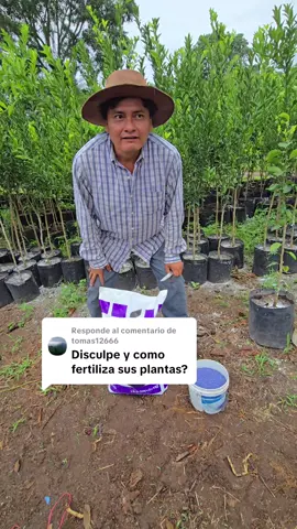 Respuesta a @tomas12666  Estamos fertilizando nuestras plantas de Citrico en el vivero 👨‍🌾🍃🍊🍋 #parati #viral #foryou #campo #paratiiiiiiiiiiiiiiiiiiiiiiiiiiiiiii 