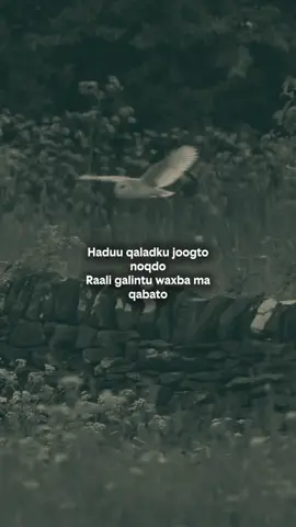 #💔😔 
