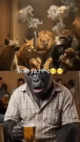 #hadiyya⚪️⚫️🔴 #viralvideo #ethiopian_tik_tok🇪🇹🇪🇹🇪🇹🇪🇹 
