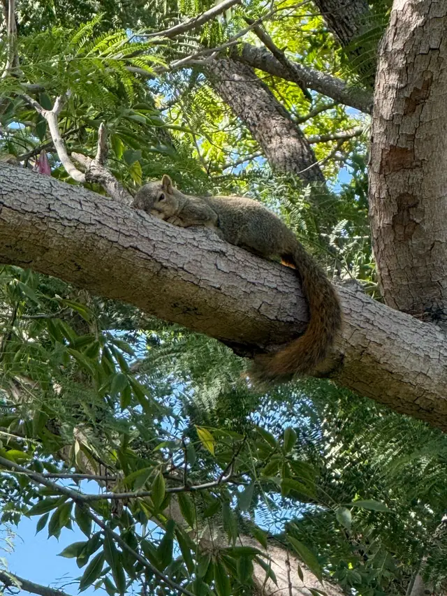 #nature #cuteanimal 