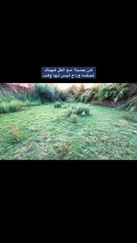 كـن جمـيلا مـع الكل فـهناك لحـضه وداع لـيس لـها وقـت
َ 
َ 
َ 
َ 
َ #اقوال_وحكم_الامام_علي_عليه_الاسلام #الامام_علي #اقوال #تصويري #تصوير_ايفون 