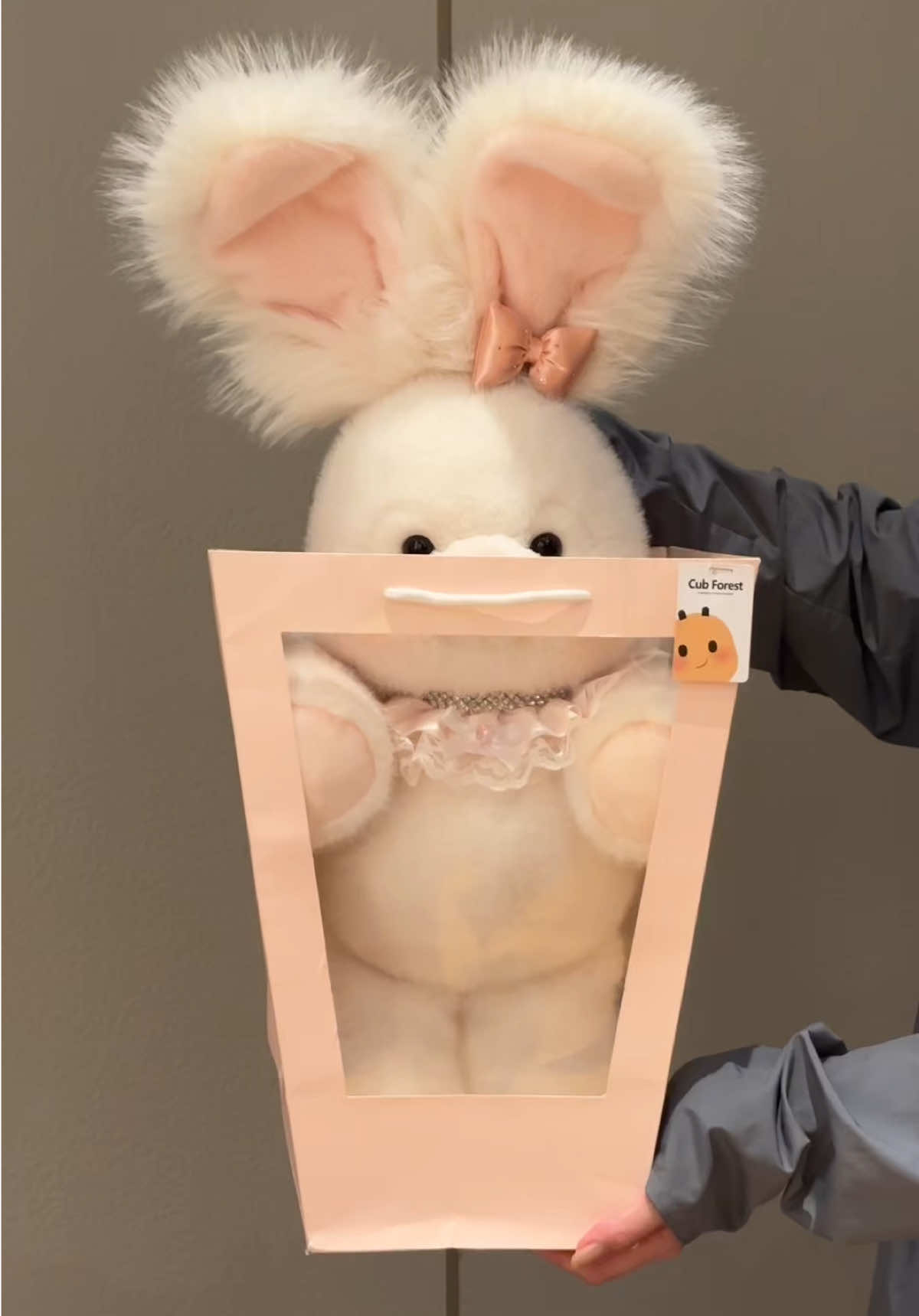 Meet this elegant charming bunny lady🎀🐰 So graceful and sweet🥹 #plushies #bunny #stuffedanimals #giftforher #plushtoys 