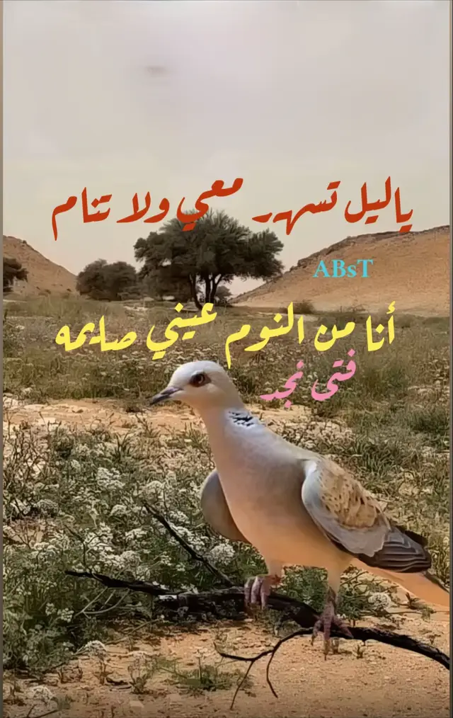 #اكسبلورexpxore ياليل تسهر معي ولا تام 💕💜💕