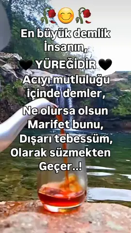 yeni güne yeni haftaya bismillah diyerek başlayalım canlar günaydın hayırlı sabahlar diliyorum bol bereketli haftalarımiz olsun inşallah saygılar selamlar 🙋‍♀️🌹☕☕🌹🌹#keşfetttt #fyp #keşfetbeniöneçıkar #fy #keşefeteçık @gurbet 4244 @CAN TANEM NADİDE🌹💖🌹 