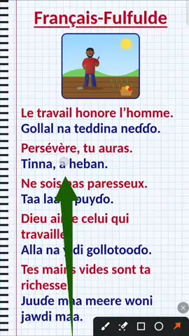 Fulfulde : les exp d'expressions avec le mot ''travail'' 