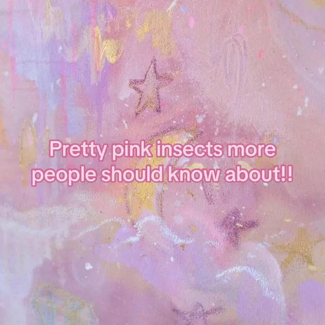 #fyp #entomology #insects #pink #whimsy 