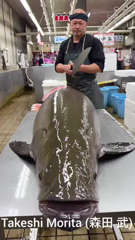 A Massive Fish, Incredible Knife Skills! Watch Mr. Takeshi expertly cut into this enormous fish, showcasing the precision and power of traditional Japanese fish preparation. #cutfish #fish #Japanese