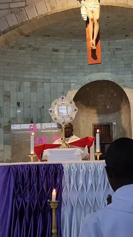 #blessedsacrament #goviral #catholicdifenders#foryou #tranding 