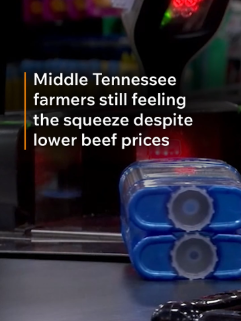 Beef prices are finally showing signs of relief for shoppers, but one Middle Tennessee farmer says the cost of producing beef remains high, even as demand for locally raised meat grows. New data highlighted by University of Tennessee agricultural economist Andrew Griffith shows the national average retail price of fresh beef fell to $9.47 per pound in September, down 20 cents from August. That’s the lowest average since October 2025. Choice beef prices also declined, falling 29 cents to $9.94 per pound. But at Southern Rhythm Cattle Company, owner Katie Bates says lower grocery store prices don’t necessarily mean farmers are seeing the same relief. Read the full report by Liz DeSantis at WKRN.com