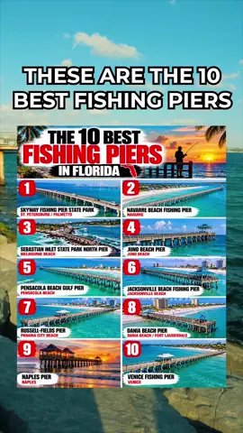 Ranking the 10 BEST Fishing Piers in Florida! Which fishing pier deserves the TOP spot? #fishing #fish #fishingdaily #deepsea #florida 
