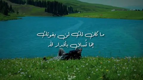 إنما تُساق بأقدار الله ☝🏻🤍 . #قران #quran #قرأن #محمد_ايوب_عاصف #الشيخ_محمد_ايوب 
