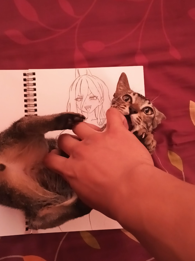 It's just I miss my cat so long and he never forgets about biting my hand #cat #chainsawman #chainsawmanpower #drawings #fyp 