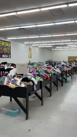 Tuesday  Everything  $1.00 9AM~7PM #bargainbinsmesa #fyp #viral #restock #mesaarizona 