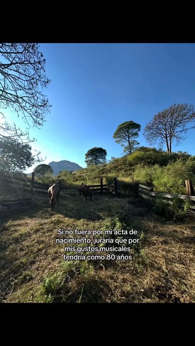 La mejor música#grupolaberinto #musica #rancho