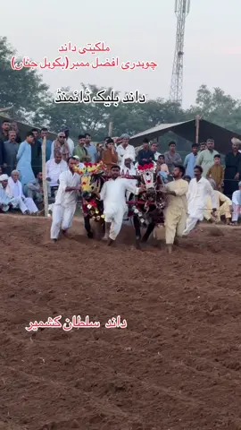 #trending #amazing #plzunfrezemyaccount #problemaresolvido #repost @Husnain hamza بکول جٹاں @Waqas Ch @Asad Mirza @جٹ بادشاہ ♠️🚩 @حیدری پاکستان آزاد کشمیر گروپ 