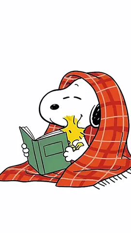 #buenosdias #amanecer #lindodia #martes #felizdia 