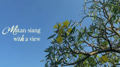 spot makan dengan view sawah dan gunung yang indahhh bangettt, menunya banyak dan enak enak semua(mostly masakan jawa ya), harganya juga ramah banget. tempatnya nyaman dan asri, seger bangett angin sepoi sepoinya. kalau kesini wajib cobain mangut lelenya, enakkk bgtt bumbunya 🫰🏻✨ #placetogokaranganyar #karanganyar24jam #explorekaranganyar #4u 