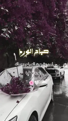 #كتاباتي_للعقول_الراقية_فقط  #‏صباح الورد لمن يشبهون الصباح بجماله والورد بعطره#اكسبلور #تصميمي ❤#