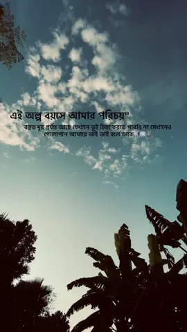 এই অল্প বয়সে আমার পরিচয় বহুত দূর প্রর্যন্ত আছে যেখানে তুই চিন্তা করতে পারবি না সেখানেও পোলাপান আমারে ভাই ভাই বলে ডাকে..!!🆗🗿