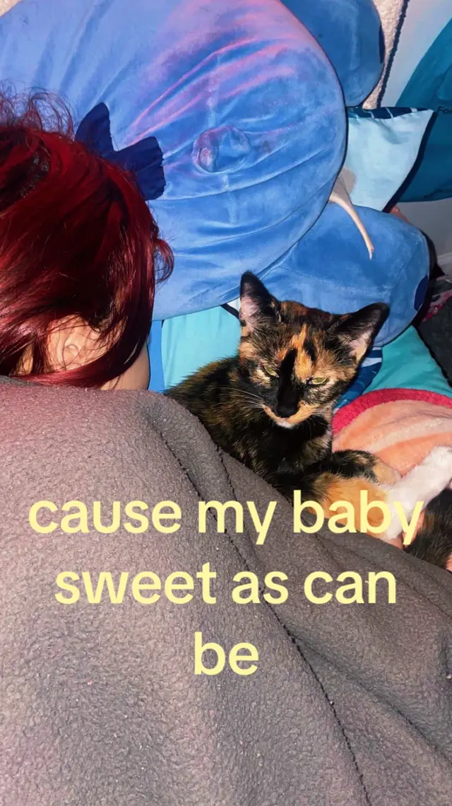 #fypシ゚viral #relateable #kittycat #kitty #fyppppppppppppppppppppppp 