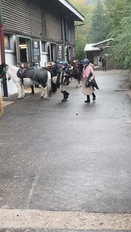 #cheval #chevaltiktok #chv #équithérapie 