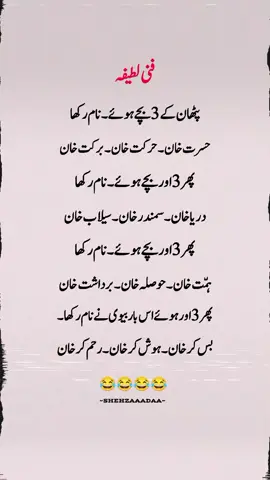 پٹھان کے 3 بچے ہوئے۔فنی لطیفہ 😂 