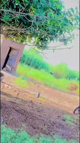 گوندل🫴👋