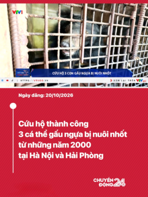 Tổ chức Động vật châu Á vừa phối hợp với các cơ quan chức năng cứu hộ thành công 3 cá thể gấu ngựa được các hộ nuôi tại Hà Nội và Hải Phòng tự nguyện chuyển giao. Dự kiến, cả 3 sẽ được đưa về Trung tâm Cứu hộ Gấu Việt Nam tại Vườn quốc gia Bạch Mã, TP. Huế.#chuyendong24h #tiktoknews #gaungua #Nuoinhot #hanoi